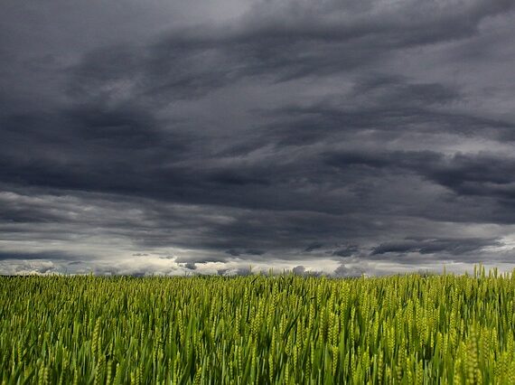 Storms are coming